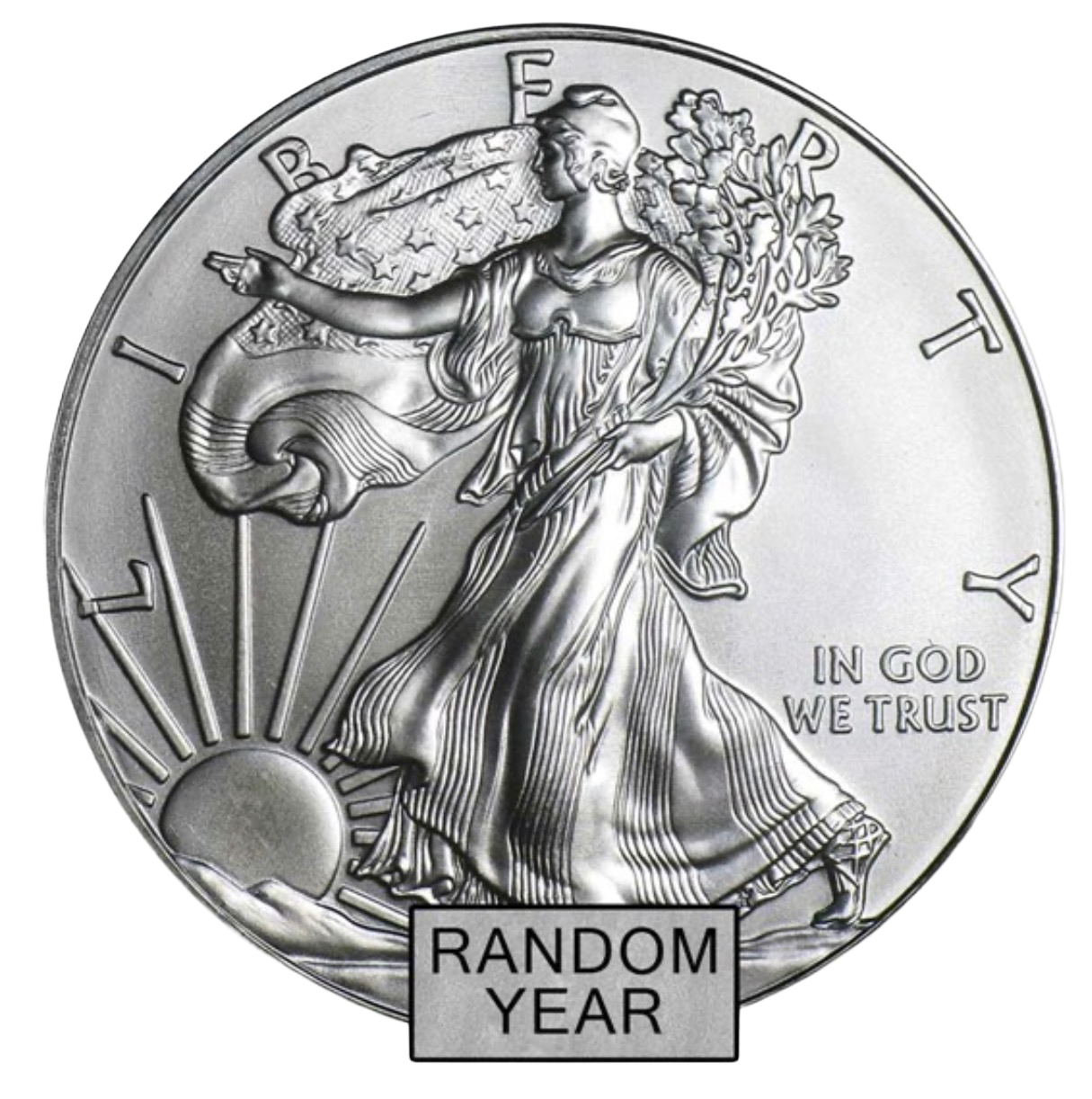 American Eagle 1 Ounce Coin (random year)